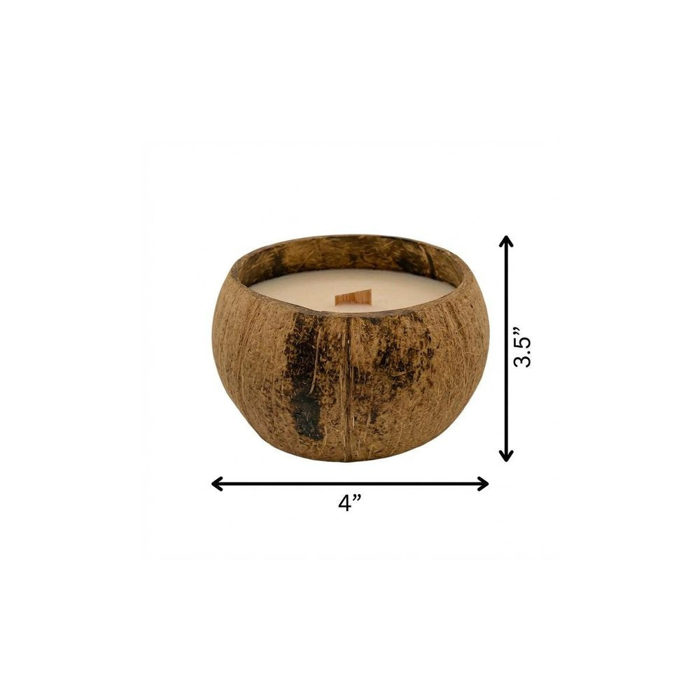 4" Ivory Orchid And Sea Salt Scented Candle In Brown Coconut Shell Holder