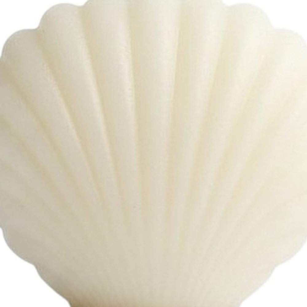 3" Ivory Black Ice Scented Dimensional Seashell Candle