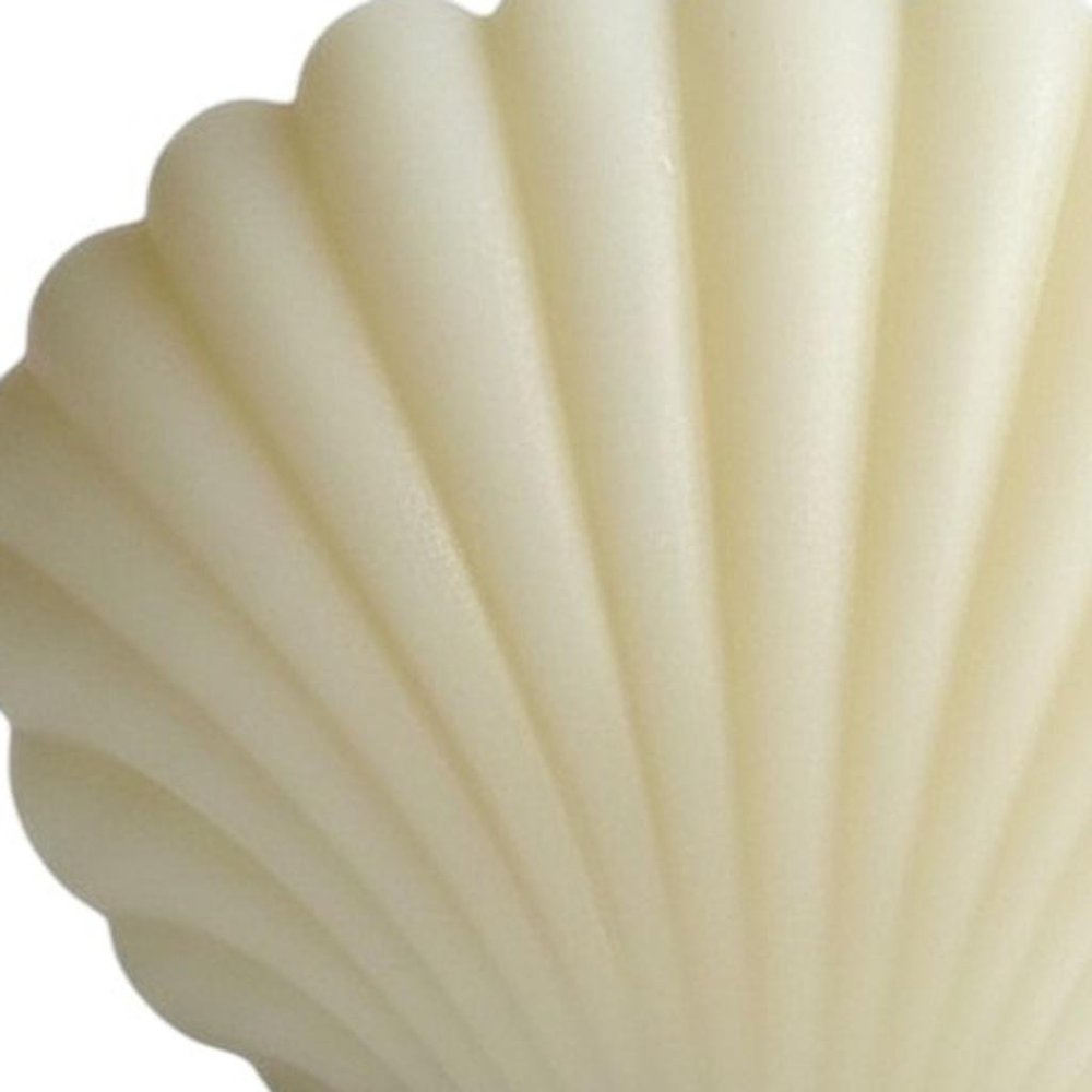 4" Ivory Black Ice Scented Dimensional Seashell Candle