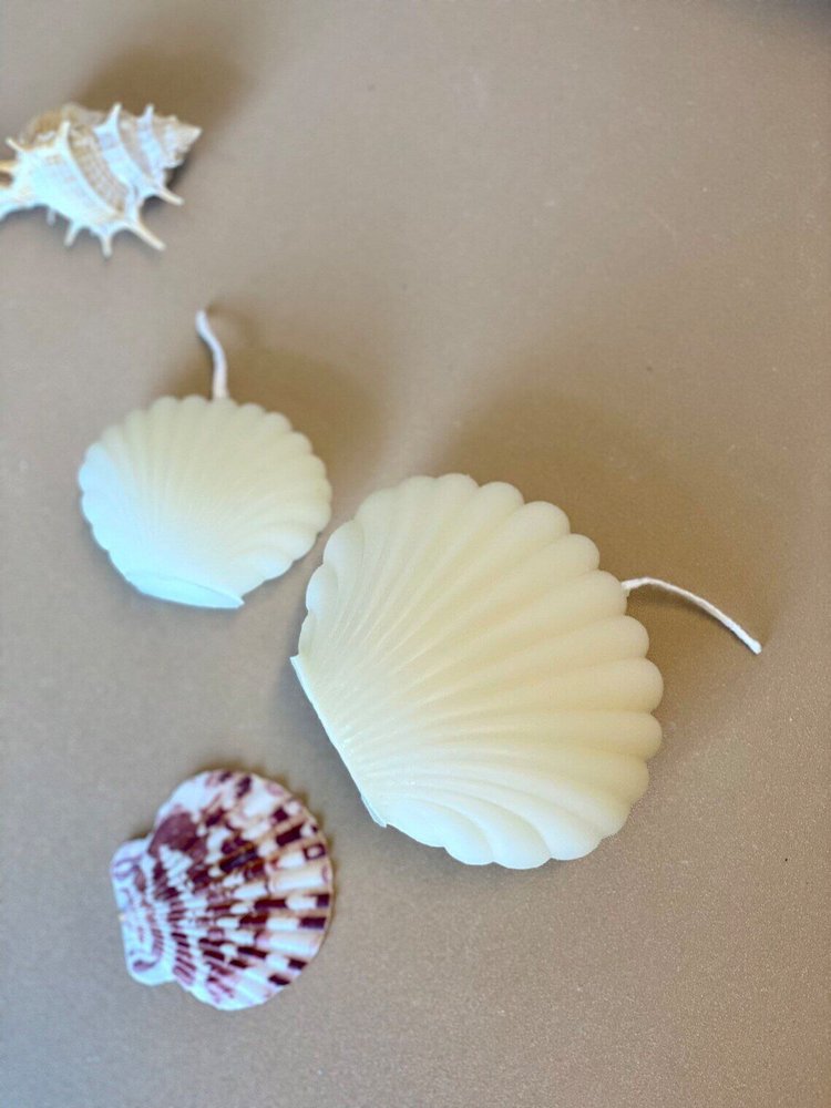 4" Ivory Unscented Dimensional Seashell Candle