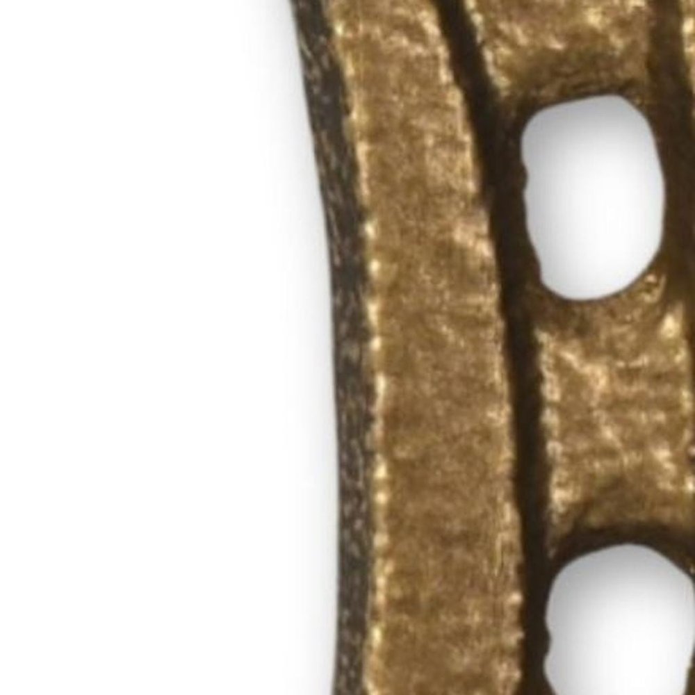 4" Antiqued Gold Cast Iron Horseshoe Wall Hook. Coat hanger isolated on a plain white background, finished in gold metal.