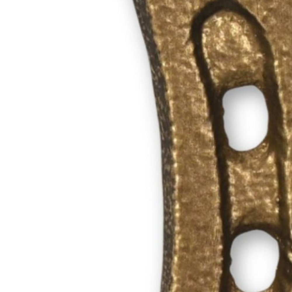 4" Antiqued Gold Cast Iron Horseshoe Wall Hook. Coat hanger isolated on a plain white background, showing a gold metal surface.