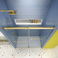 74" X 48" Tempered Glass Shower Door in a home interior